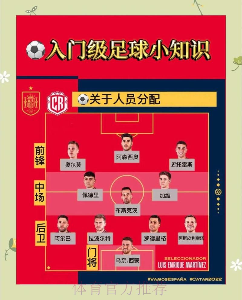 世界杯比分教程入口地址及使用指南